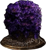 PurpleMossClump